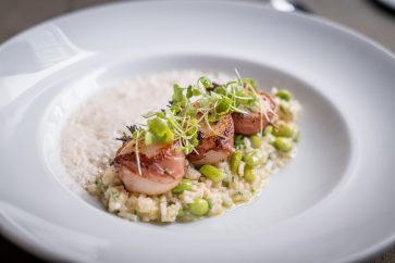 JUMBO SCALLOPS & ST DANIEL HAM…..$16,50