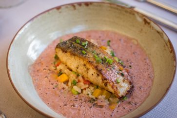 Sea bass, pumpkin rissotto, port wine foam $14.50